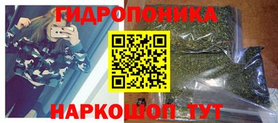шишки Чебаркуль