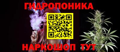 гашик Чапаевск