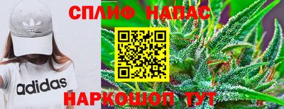 шишки Чебаркуль