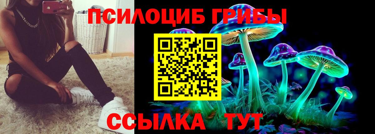 Галлюциногенные грибы Psilocybine cubensis  Вход с VPN  Волжск 