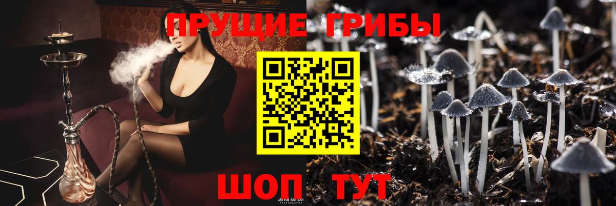 Псилоцибиновые грибы Cubensis Волжск